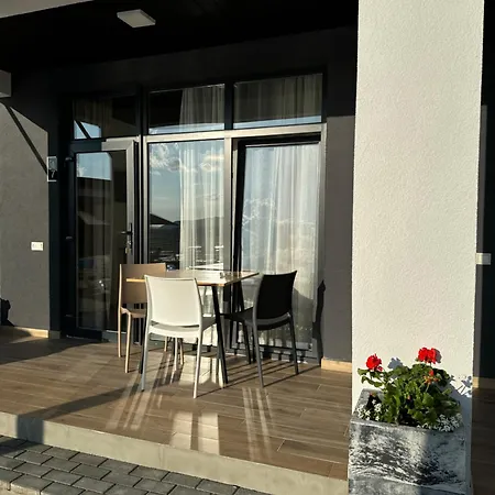 Modern House