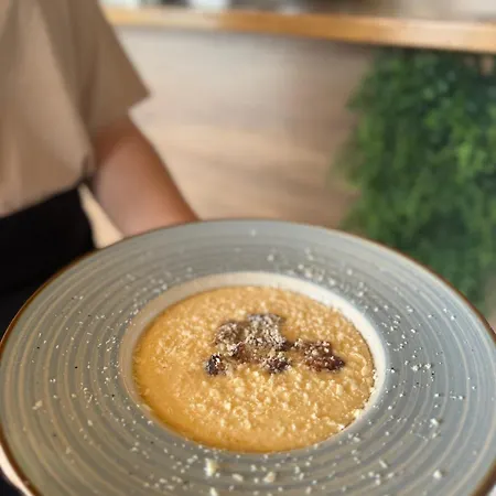 Modern House Resort Solotvino