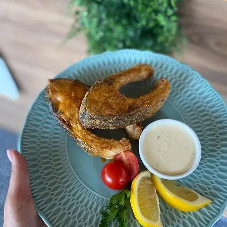 Resort Modern House Solotvino